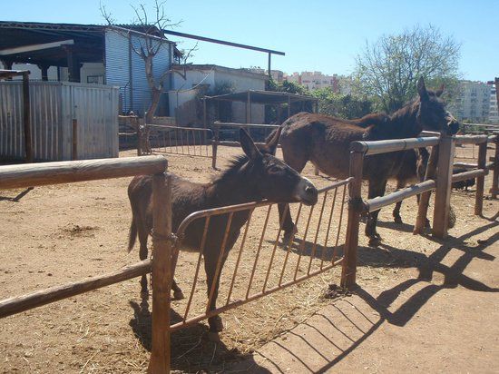 Nerja Donkey Sanctuary